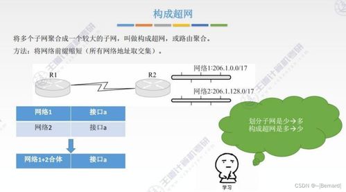 王道考研计算机网络第四章知识点汇总 计算机网络平台的开发及建设