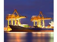 天鸣国际货代 卓越的专业货代经验与全方位贸易代理服务